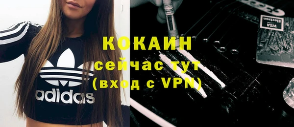 крисы Бронницы