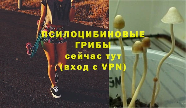 крисы Бронницы